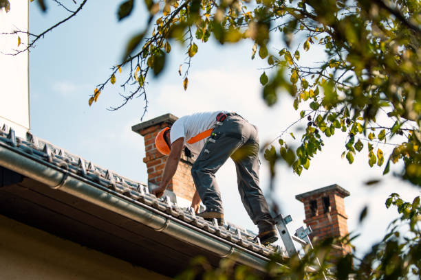 Best Tile Roofing Contractor  in Belcourt, ND