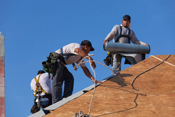 Best Residential Roofing Contractor  in Belcourt, ND