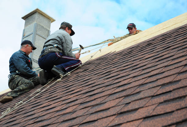 Professional Roofing Contractor in Belcourt, ND
